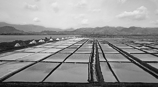 Salt Pans Land Mumbai